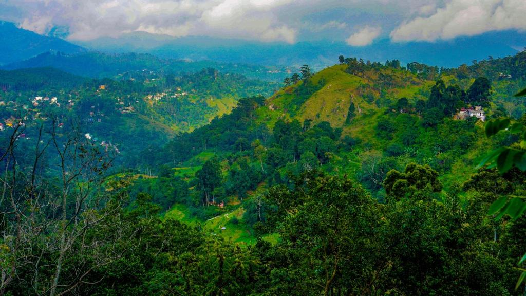 Shining Green View
